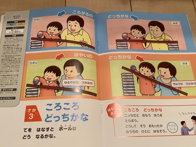 Z会