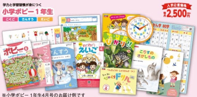 小学ポピー
